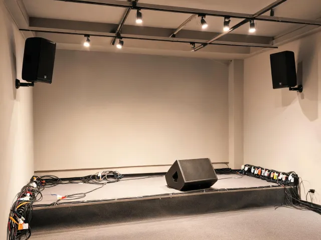 Installed venue audio inspection